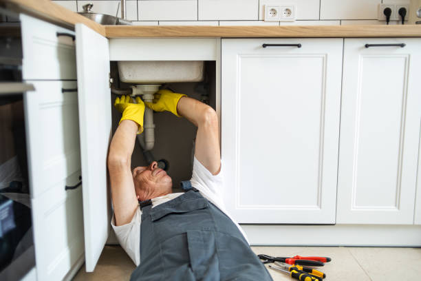 Best Plumbing Repair Near Me  in La Porte City, IA